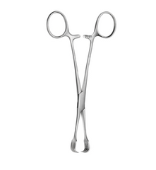 TISCO Lifecare Czerny Braun Tissue Forceps 25 CM / 10 Inch 3x3 Prong Stainless Steel Surgical Instrument
