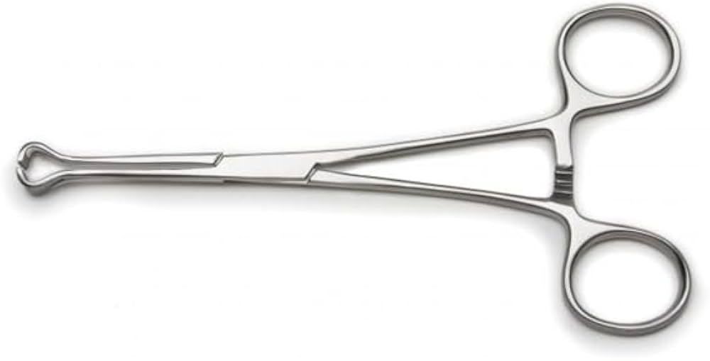 Babcock Tissue Forceps – Atraumatic Surgical Tissue Holding Forceps (4"–10") | Stainless Steel