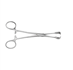 TISCO Lifecare Czerny Braun Tissue Forceps 15 CM / 6 Inch 3x3 Prong Stainless Steel Surgical Instrument