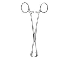 TISCO Lifecare Czerny Braun Tissue Forceps 15 CM / 6 Inch 3x3 Prong Stainless Steel Surgical Instrument
