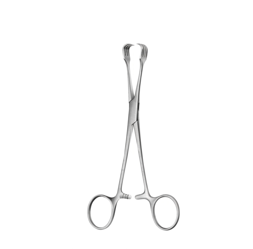 TISCO Lifecare Czerny Braun Tissue Forceps 20 CM / 8 Inch 3x3 Prong Stainless Steel Surgical Instrument