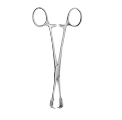 TISCO Lifecare Czerny Braun Tissue Forceps 20 CM / 8 Inch 3x3 Prong Stainless Steel Surgical Instrument