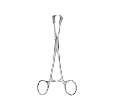 TISCO Lifecare Czerny Braun Tissue Forceps 25 CM / 10 Inch 3x3 Prong Stainless Steel Surgical Instrument