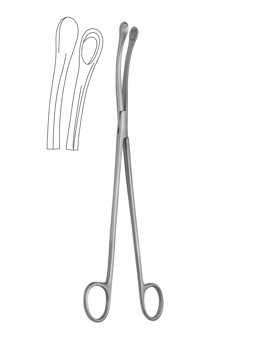 TISCO Lifecare Ovum Forceps Curved Cup 25cm (10 Inch) No. 1 Stainless Steel Surgical Instrument for Gynecological Use